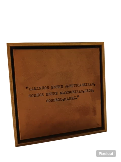 Quadro em Camurça