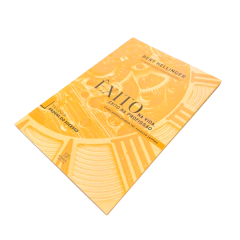 Êxito Na Vida, Êxito Na Profissão - Trilogia Ordens do Sucesso - Volume 1 - Bert Hellinger - comprar online