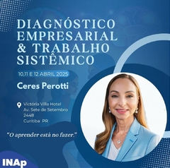 Curso Diagnóstico Empresarial e Trabalho Sistêmico - Ceres Perrotti - comprar online