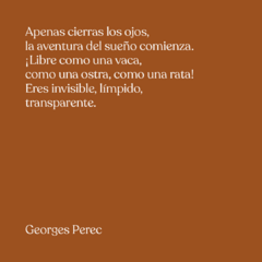 Un hombre que duerme - Georges Perec - Entrega NAVE de Alejandro Zambra Marzo '25 - comprar online