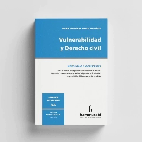 Vulnerabilidad y Derecho civil