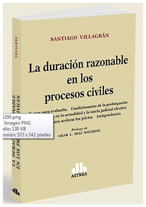 La duración razonable en los procesos civiles