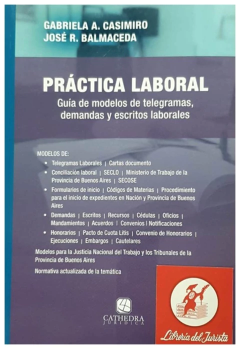 Practica Laboral