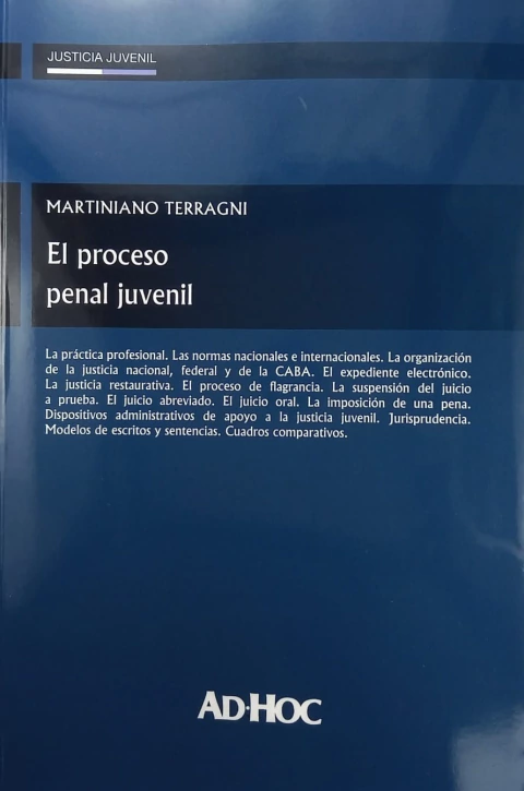 El Proceso Penal Juvenil