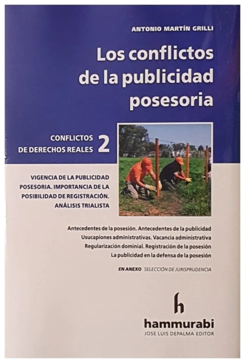 Los conflictos de la publicidad posesoria