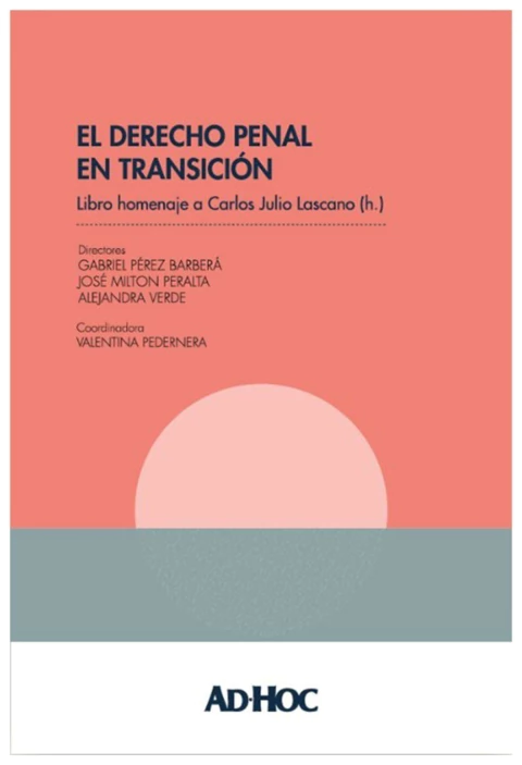 El derecho penal en transición