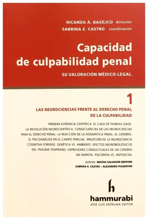 Capacidad de culpabilidad penal 1