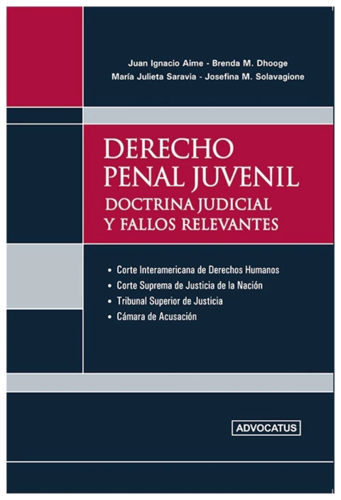 Derecho penal juvenil