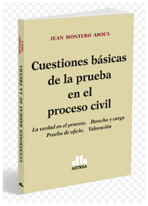 Cuestiones Básicas de la Prueba en el Proceso Civil