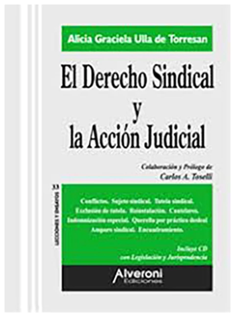El derecho sindical y la accion judicial
