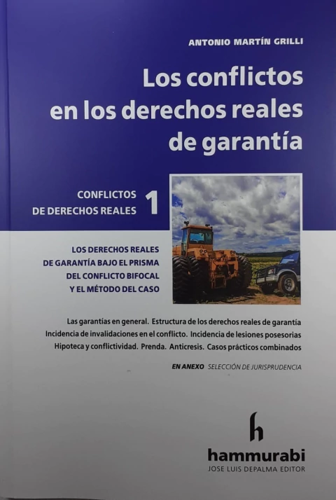 Los conflictos en los derechos reales de garantía