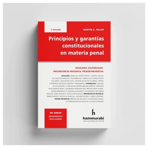Principios y garantías constitucionales en materia penal