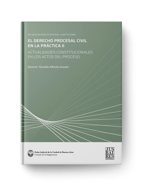 El Derecho Procesal Civil en la práctica II