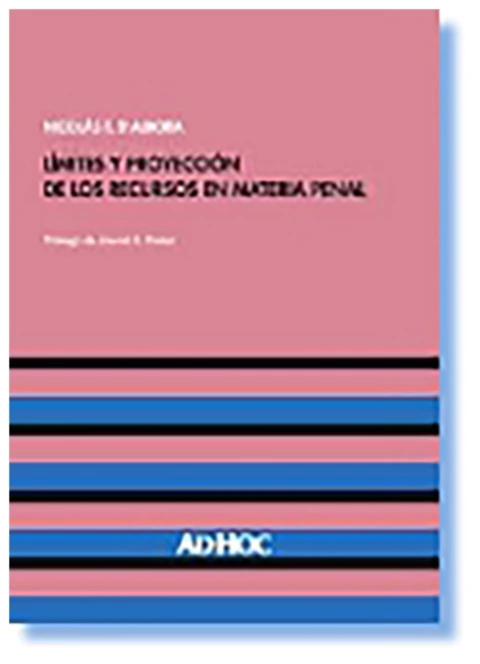Limites y proyeccion de los recursos en materia penal