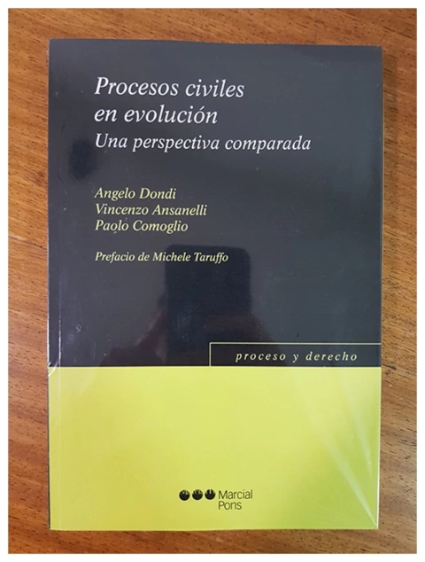 Procesos civiles en evolucion