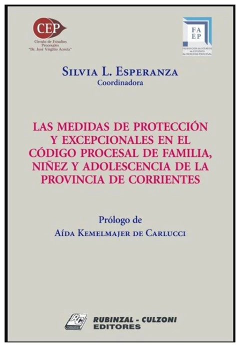 Las medidas de protección y excepcionales en el Código Procesal de Familia Niñez y Adolescencia de l - comprar online