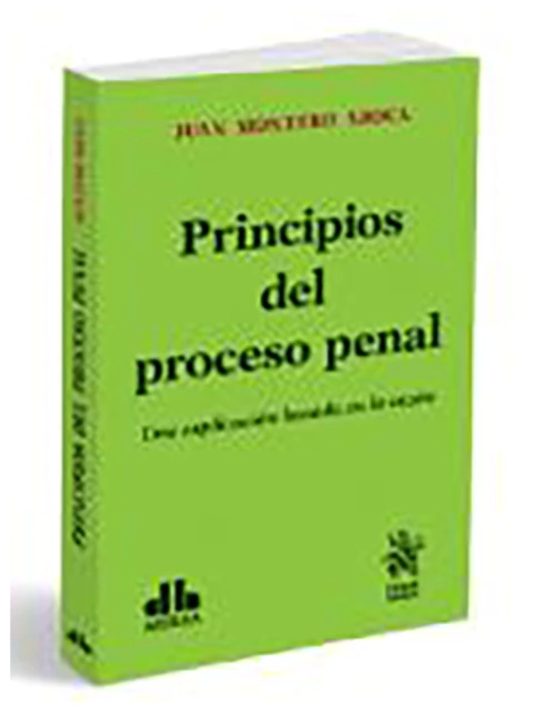 Principios del proceso penal