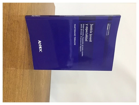 Justicia juvenil y especialidad