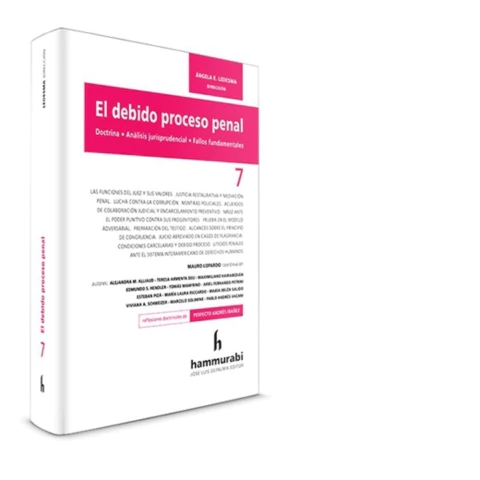El debido proceso penal. Volumen 7