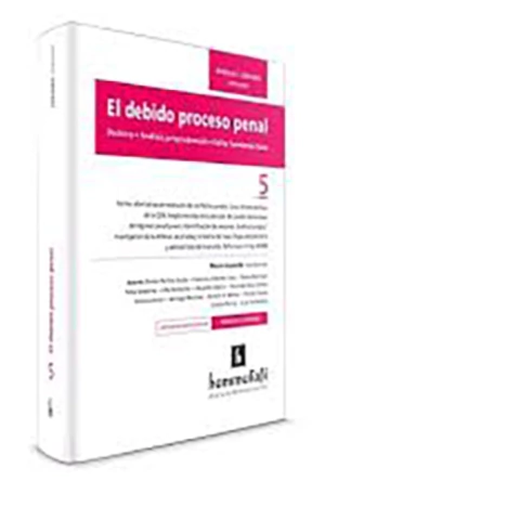 El debido proceso penal. Volumen 5
