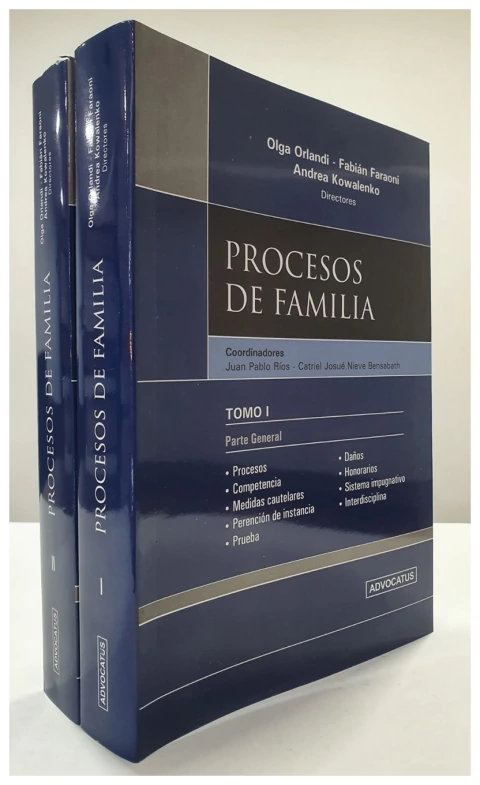 Procesos de familia: parte general y parte especial 2 Tomos
