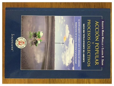 Accion popular y procesos colectivos