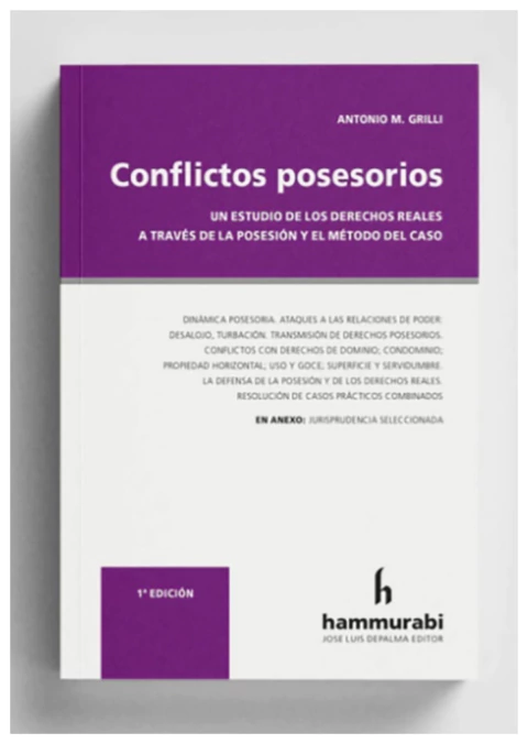 Conflictos posesorios