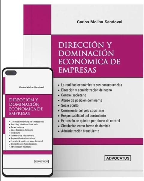 Direccion y Dominacion Economica de Empresas
