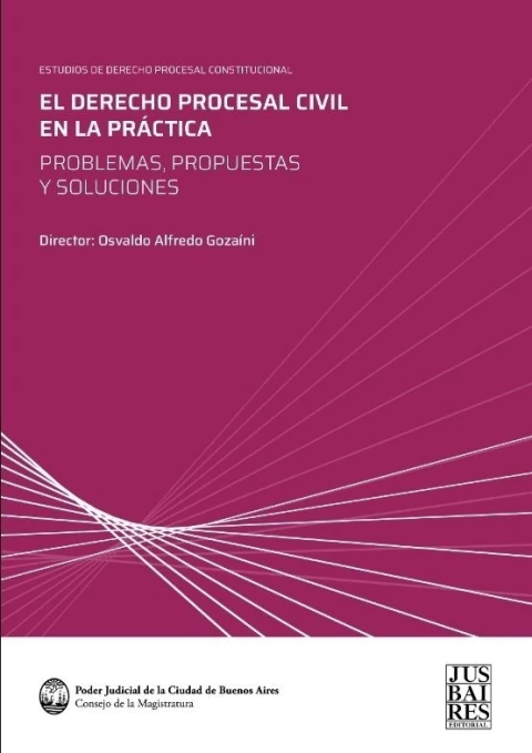 El Derecho Procesal Civil y Comercial en la Practica