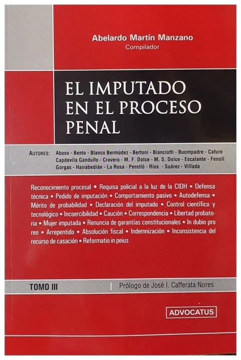 El imputado en el proceso penal. Vol 3