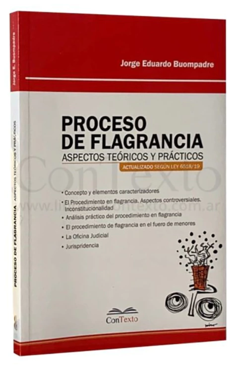 Proceso de Flagrancia