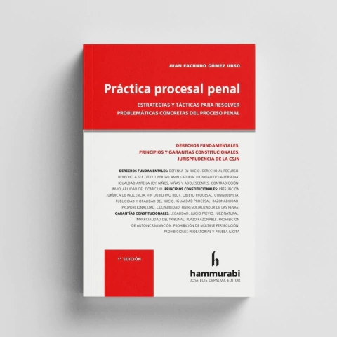 Practica procesal penal