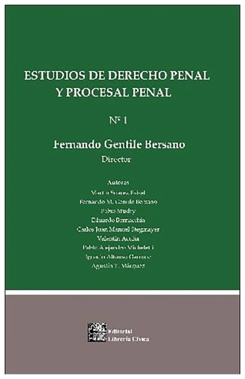 Estudios de derecho penal y procesal penal