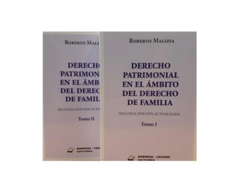 Derecho patrimonial en el ámbito del derecho de familia. 2 Tomos