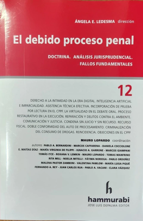 El Debido proceso penal Volumen 12