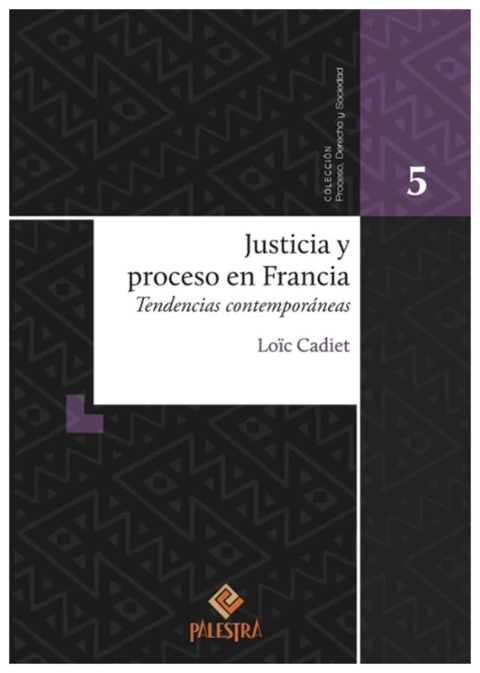 Justicia y Proceso en Francia