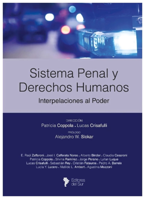 Sistema penal y Derechos Humanos