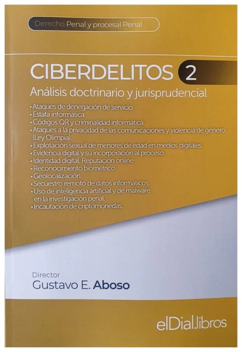 Ciberdelitos 2