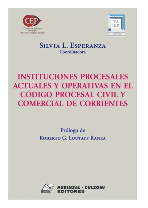 Instituciones procesales Actuales y Operativas en el Codigo Procesal Civil y Comercial de Corrientes