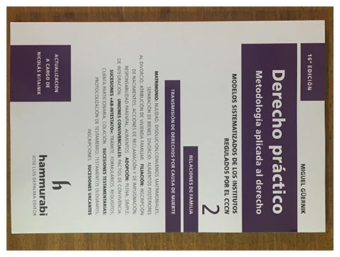 Derecho práctico. Vol. 2