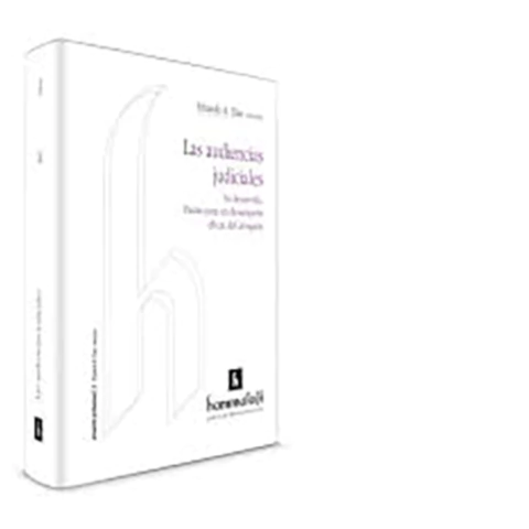 Las audiencias judiciales