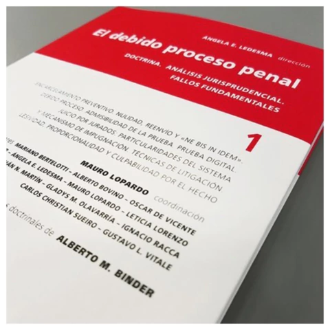 El debido proceso penal. Volumen 1