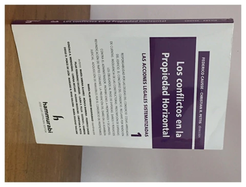 Los conflictos en la propiedad horizontal. Vol 1