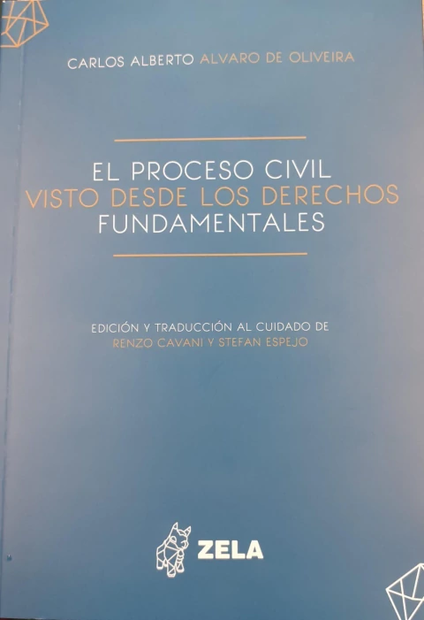 El proceso civil visto desde los derechos fundamentales