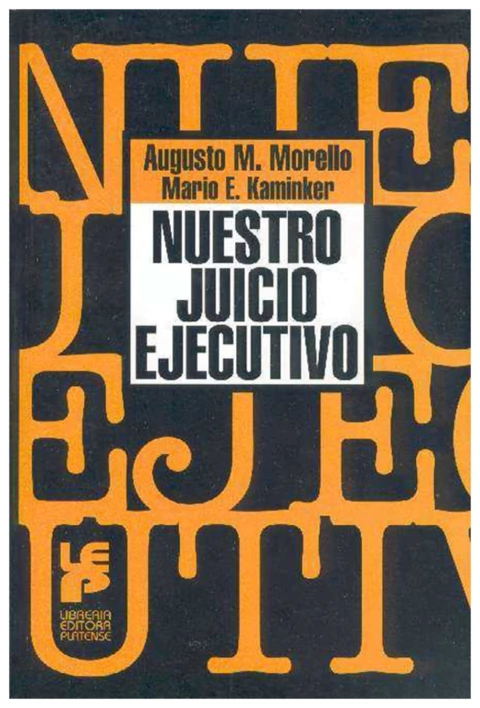 Nuestro juicio ejecutivo