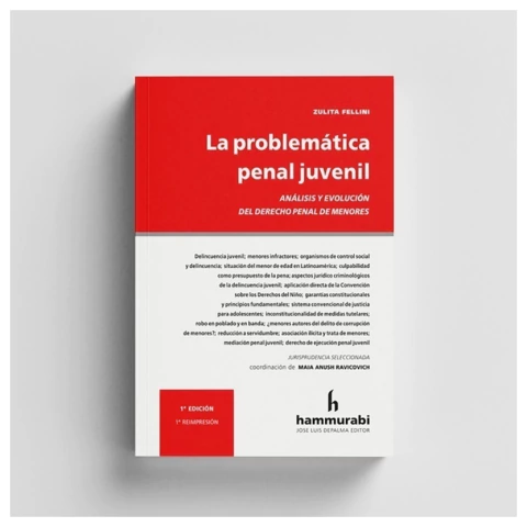 La problematica penal juvenil