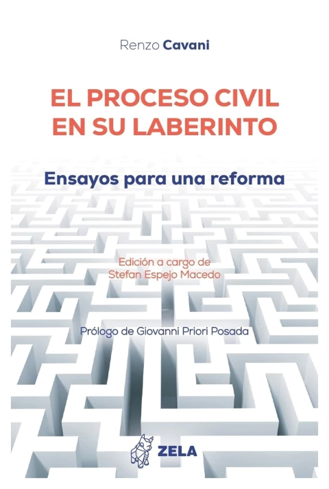El proceso civil en su laberinto
