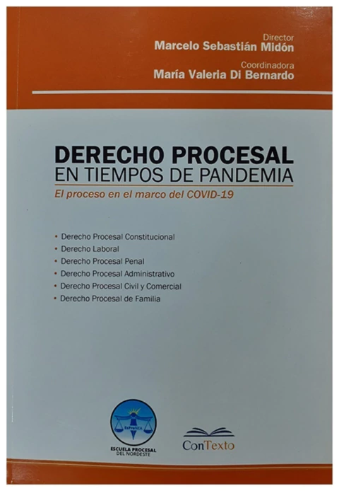 Derecho Procesal en Tiempos de Pan demia