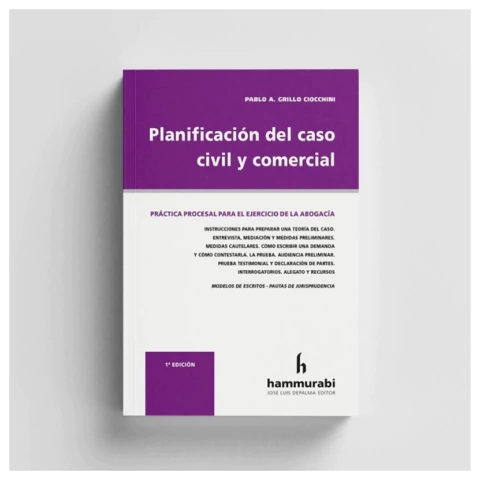 Planificación del caso civil y comercial
