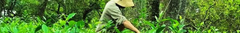 Banner de la categoría SINGLE ESTATES **NUEVO!